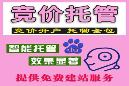 信息流广告投放策略优化：实战案例与数据支撑